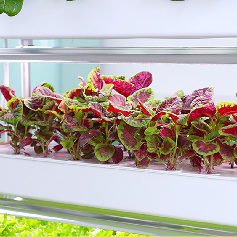 Sistem Tumbuh Hidroponik Verti - Hydroponic Tower Planter ulasan dan harga