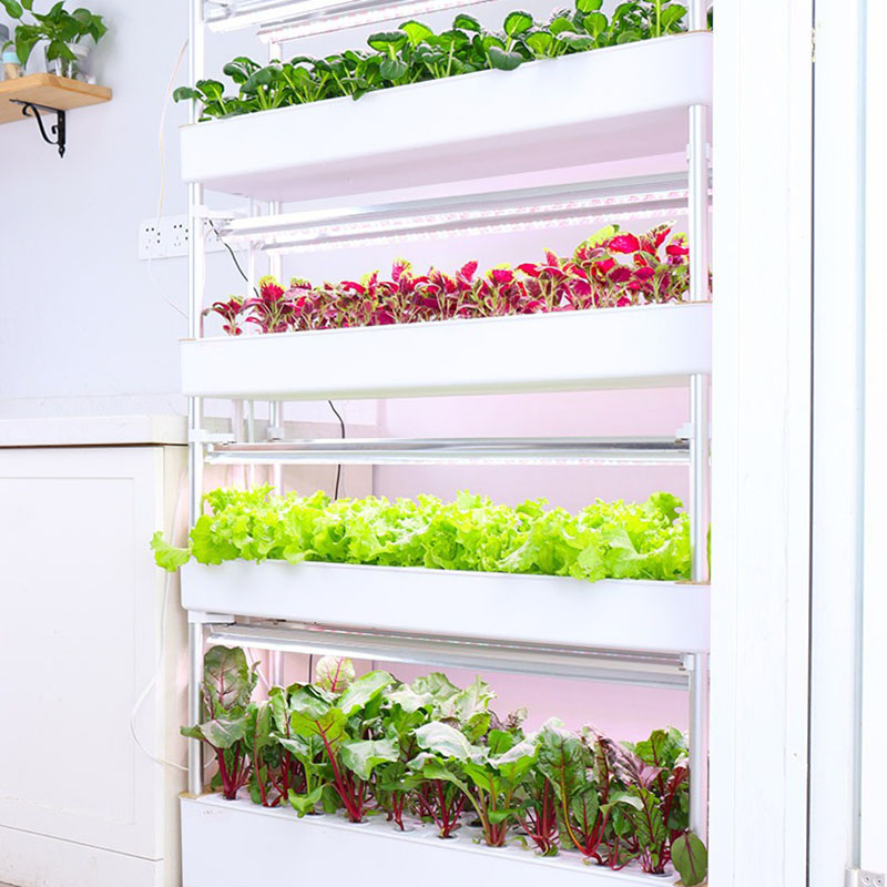 Sistem Tumbuh Hidroponik Verti - Hydroponic Tower Planter ulasan dan harga