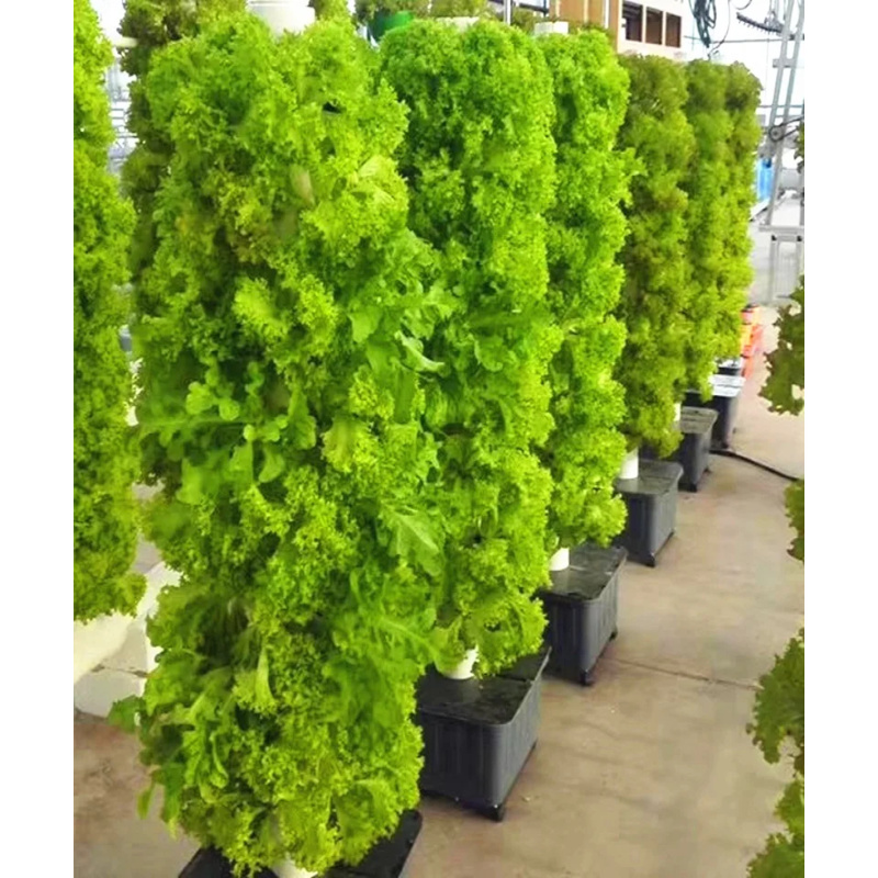 Menara hidroponik vertikal tam - Hydroponic Tower Planter ulasan dan harga